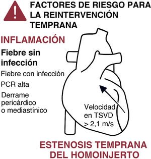 Graphical Abstract Factores de riesgo de reintervención precoz en pa...