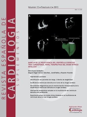 Volumen 13. Número D