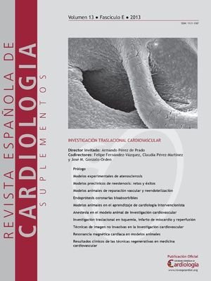 Volumen 13. Número E